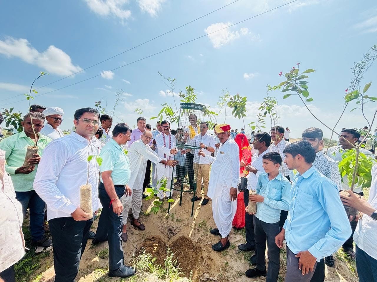 "ऑक्सीजोन कॉरीडोर" — NYS की पर्यावरण संरक्षण पहल